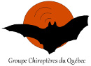 Groupe chiroptères Québec